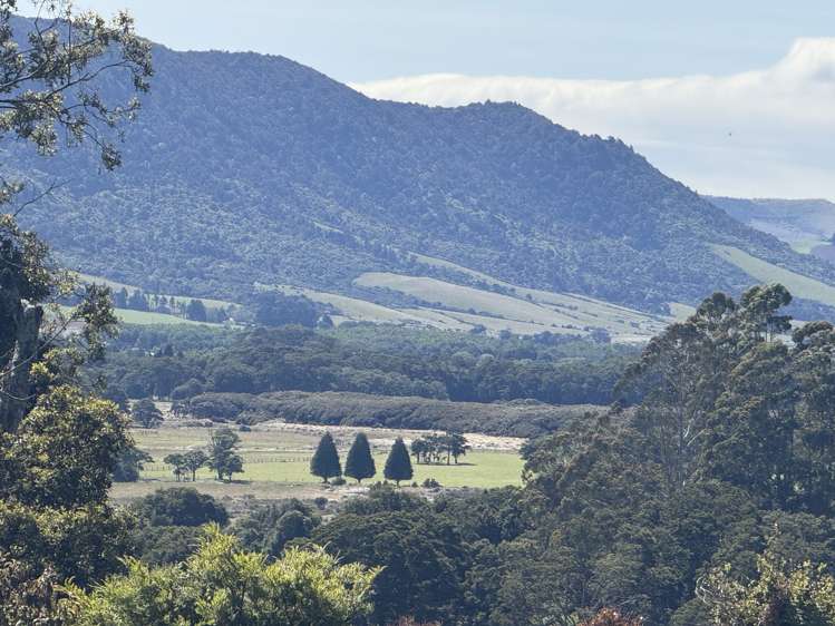 427 Harrington Mill Road Tahakopa_11