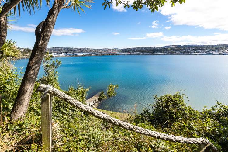 63 Glendevon Place Vauxhall_17