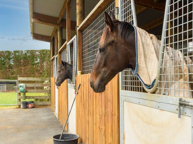 30a Thompsons Track Aongatete_6