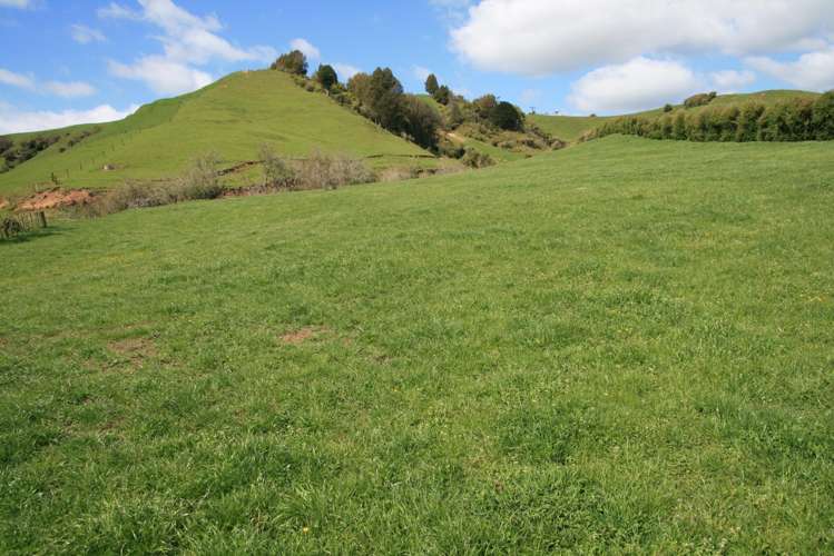 892 Tarata Road Kaimata_15