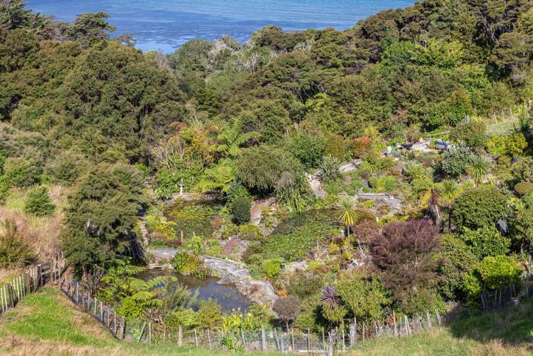 220 Whitmore Road Tawharanui Peninsula_17