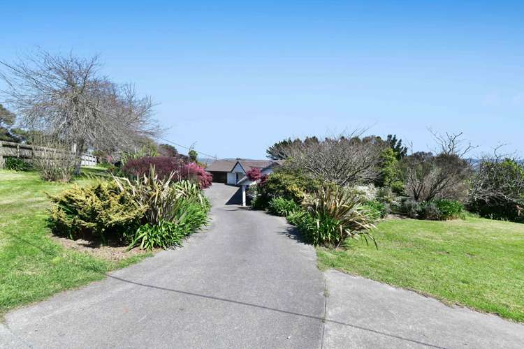 241 Kiwitahi Road Helensville_29