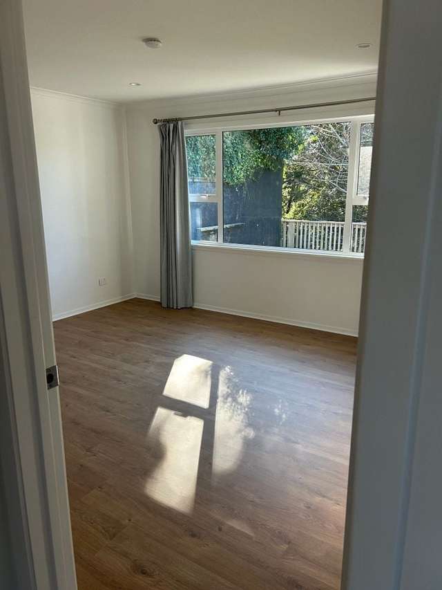 73 Mill Road Lower Vogeltown_3