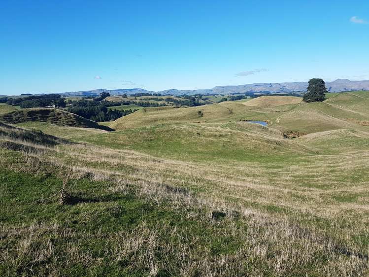76064 State Highway 2 Rangitikei Surrounds_17