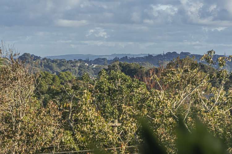 10a Rautangi Road Mount Eden_11