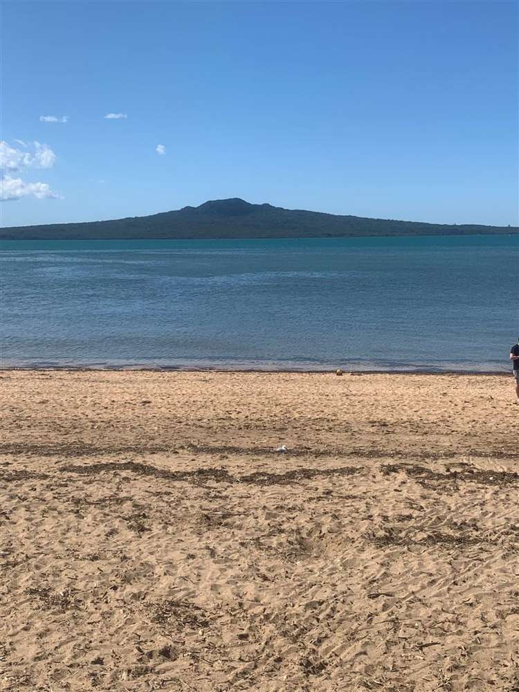 12 Wairoa Road Narrow Neck_19