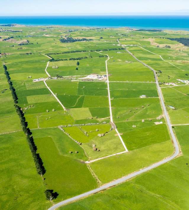 Discover a Top Dairy Farm in Kaipara!