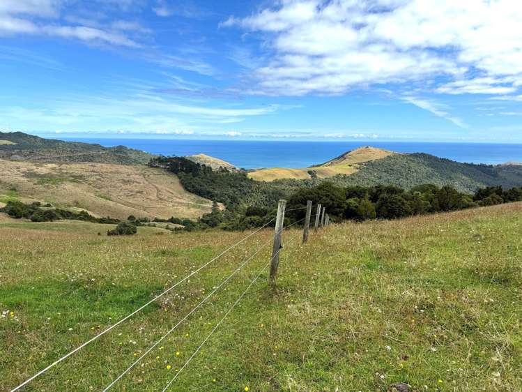 Cnr Hood Rd and SH12 Dargaville Surrounds_5