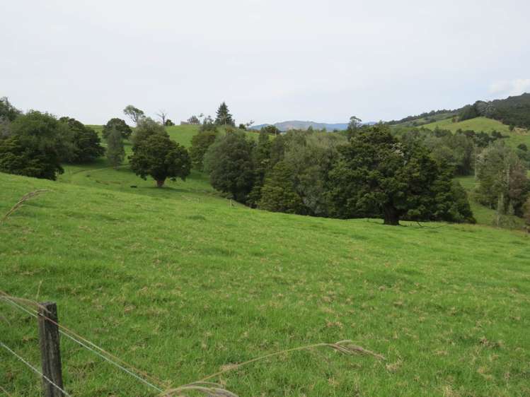 Lot 4 Taylor Road Taipa_21