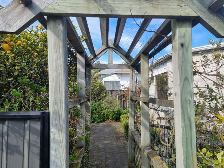 1/68 Tasman Street The Wood_1