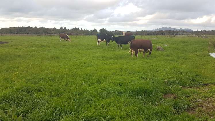 341 Puniho Road Newall_23