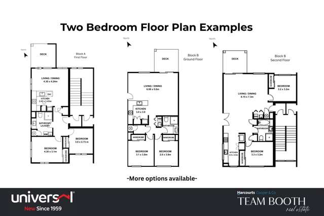 9 Mahana Road (Mahana Apartments) Northcote_1