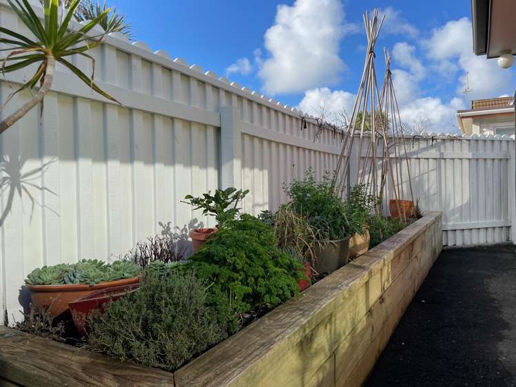 165b Queens Drive Lyall Bay_9