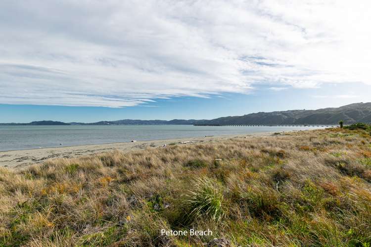 11 Richmond Street Petone_16