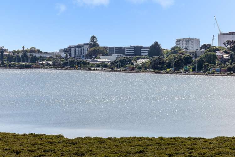 51 Churchill Road Judea_21