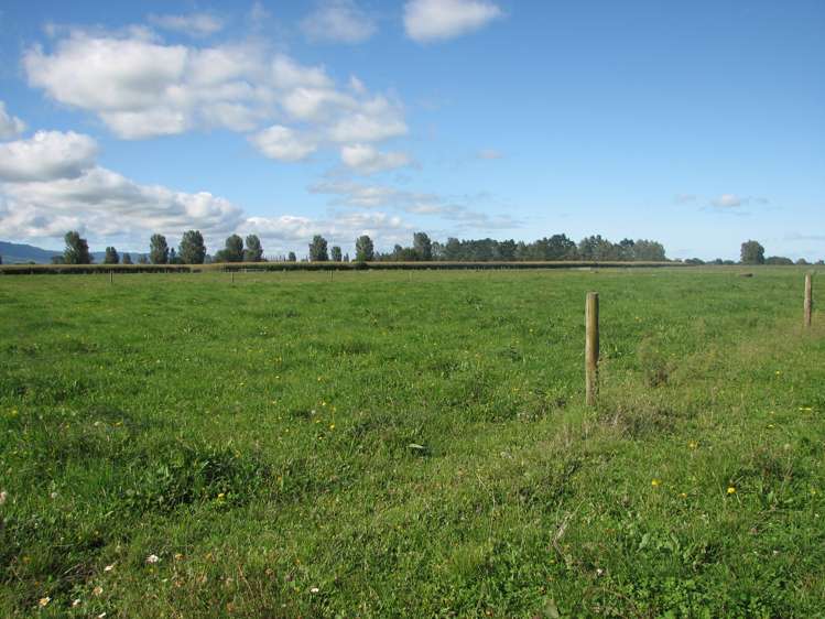 118 Costall Road Wardville_4