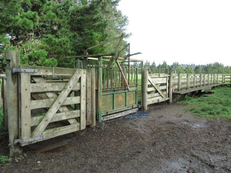 293 Hackthorne Road Carew_21