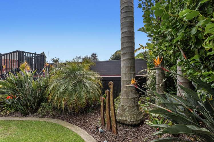 4 Walter Park Whakatane_30