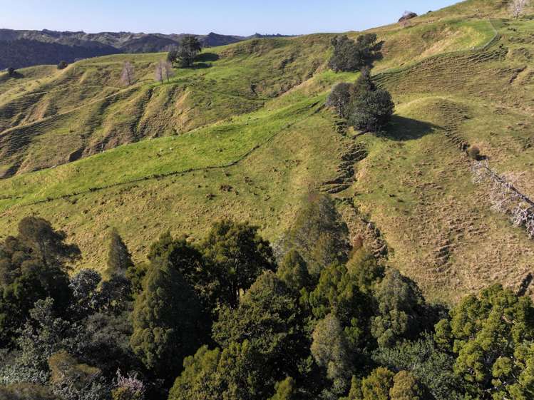 77 Remiger Road Puhoi_10