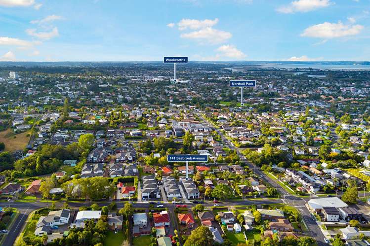 141B Seabrook Avenue New Lynn_11