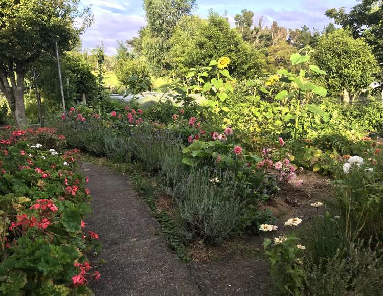 54 Tiraumea Road Pahiatua_15