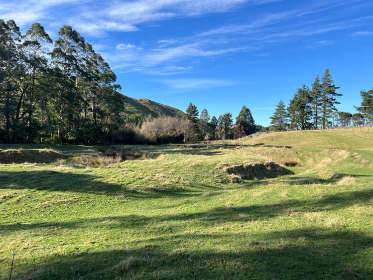 Lot 2/9 Tamaki East Road Dannevirke_8