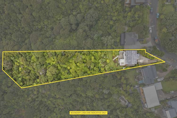 22 Kitewaho Road Swanson_25