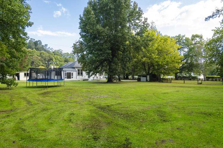 254 Valley Road Mangapapa_23