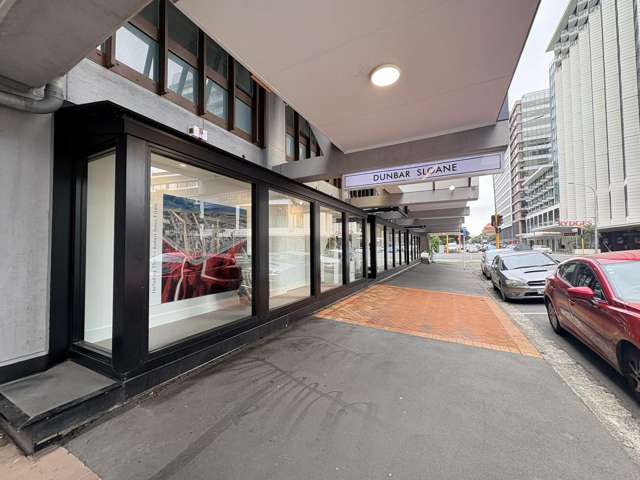 Ground 1/22 Ballance Street Wellington Central_1