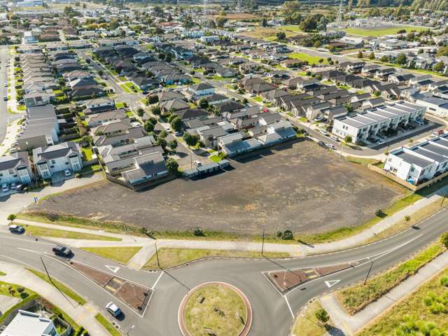 66 Kauri Heart Avenue Takanini_3