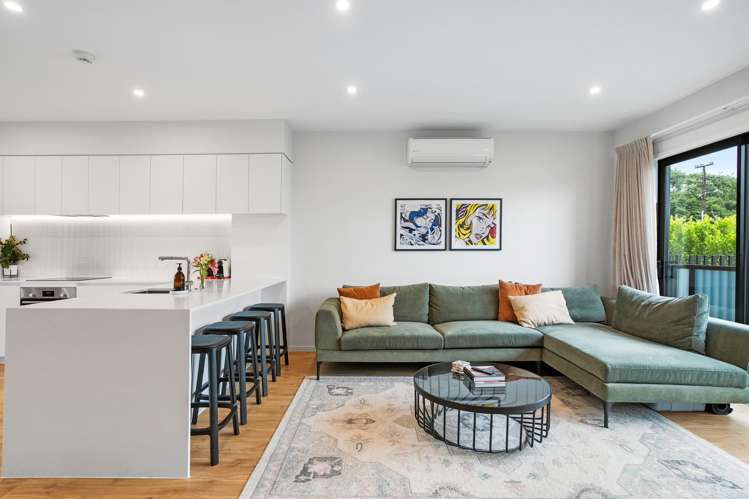 2D Grant Street Mount Albert_1