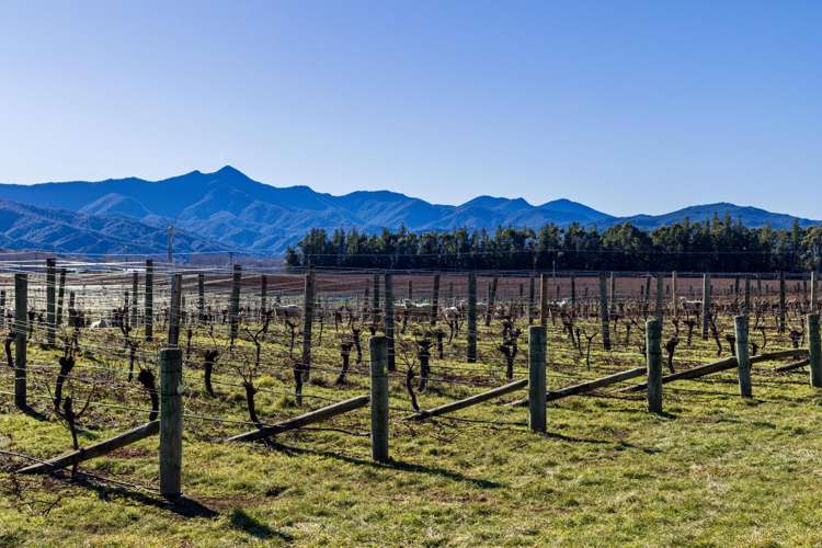 2486 State Highway 63 Wairau Valley_9