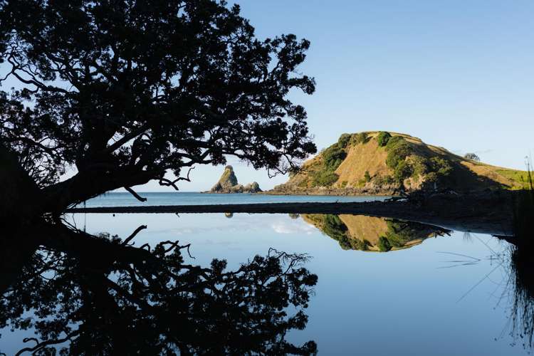 Whangaihe Bay Kaeo_20