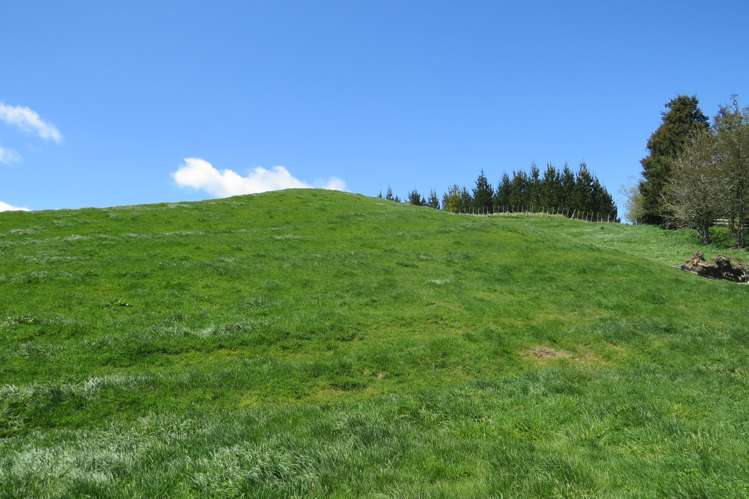 17 Hingarae Road Tihoi_17