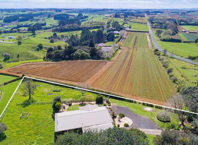 17 Shipherd Road Puni_2