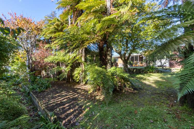 25a Mackay Street Waihi_6