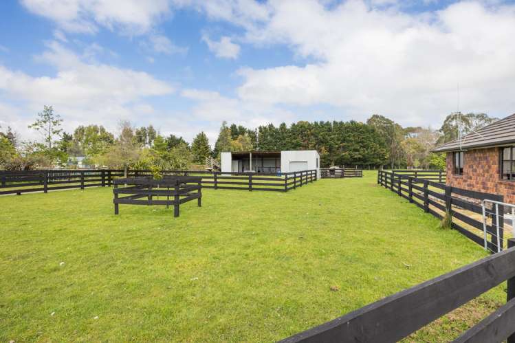 38B Grove Road Hiwinui_28