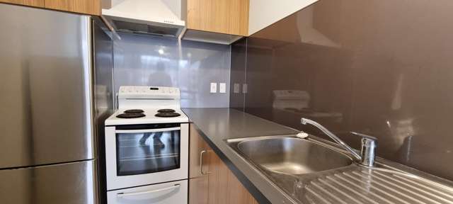 3F/107 Manners, Te Aro