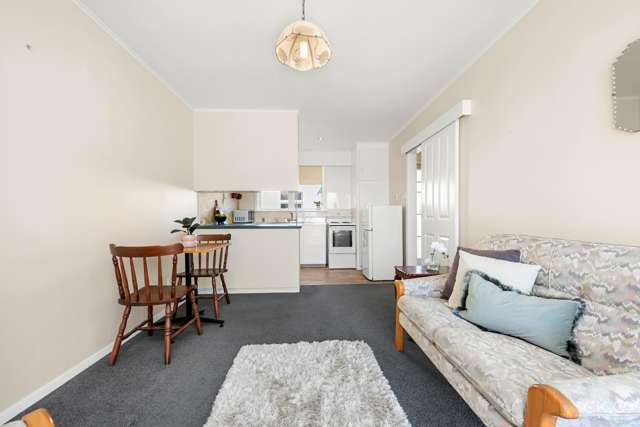 3/238 Muritai Road Eastbourne_2