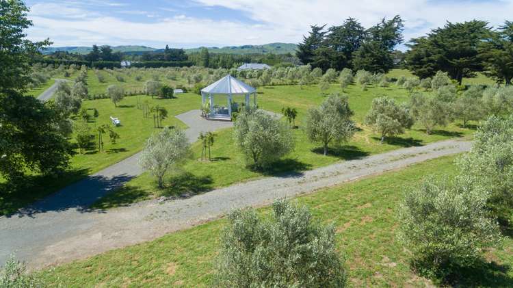 142 Dublin Street Martinborough_21