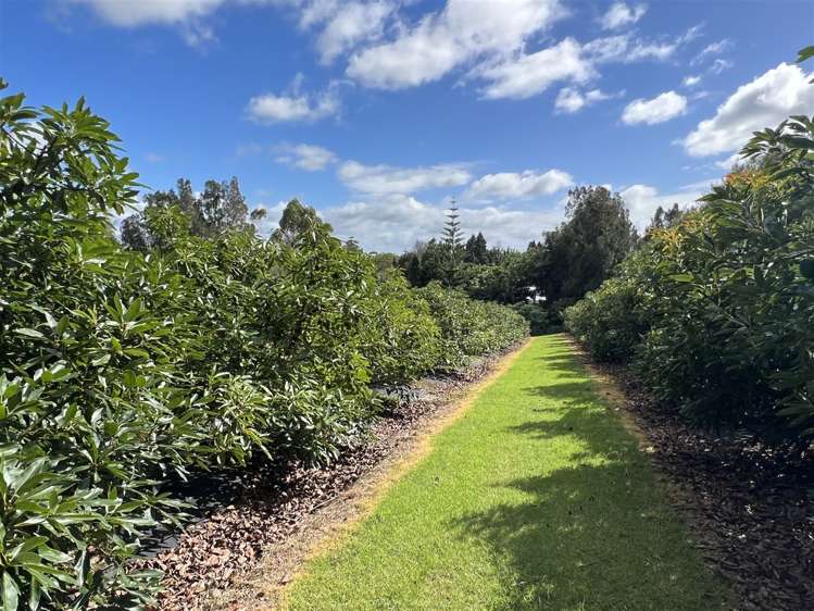 565 Kerikeri Road Kerikeri_6