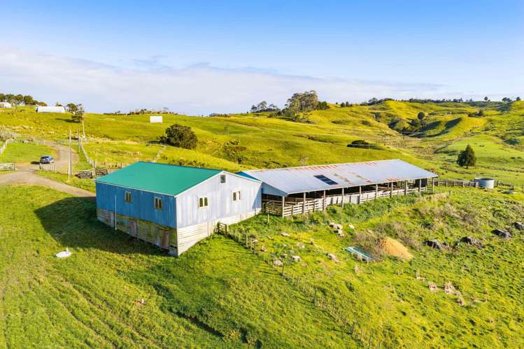 80 Harrison Road Waiotira_11