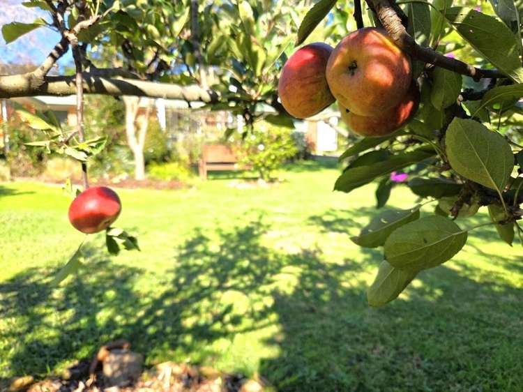 18 Pumpkin Flat Road Kuaotunu_19