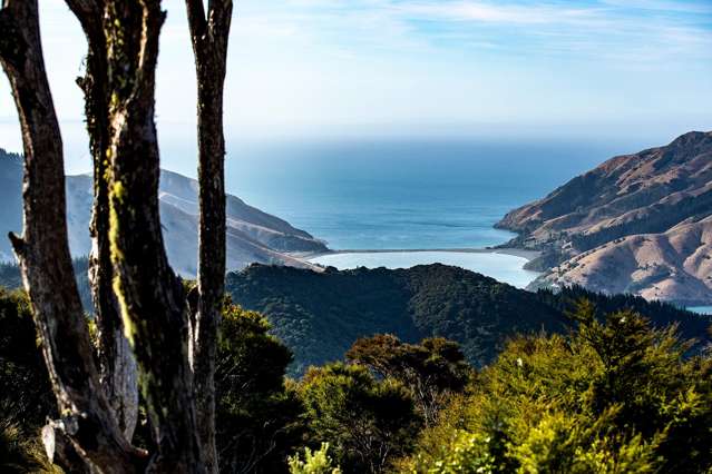 194 Cable Bay Road Hira_1