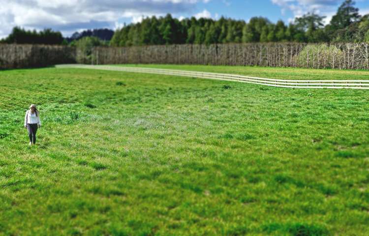 120 Sunnyside Road Coatesville_1