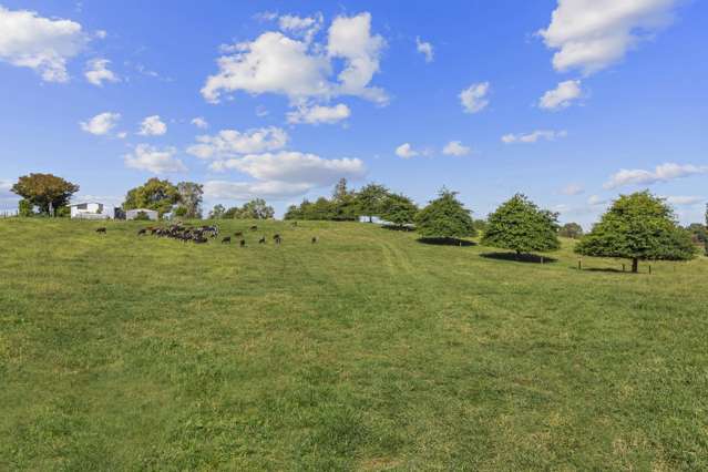 117 Meadway Road Ngahinapouri_2