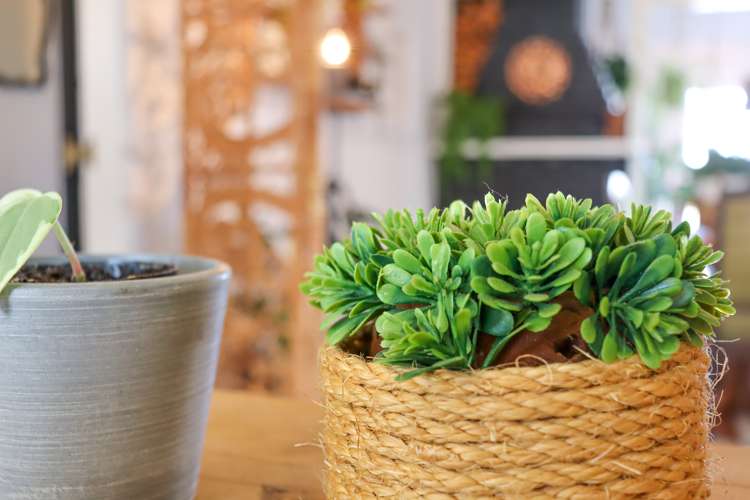 36 Robinson Street Foxton_19