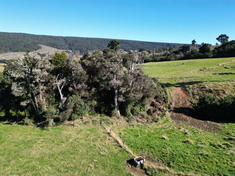 1612 Tahakopa Valley Road Catlins Surrounds_13