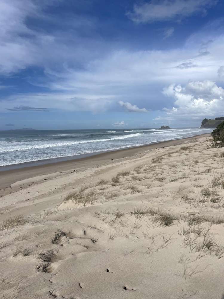 289E Opoutere Road Opoutere_39