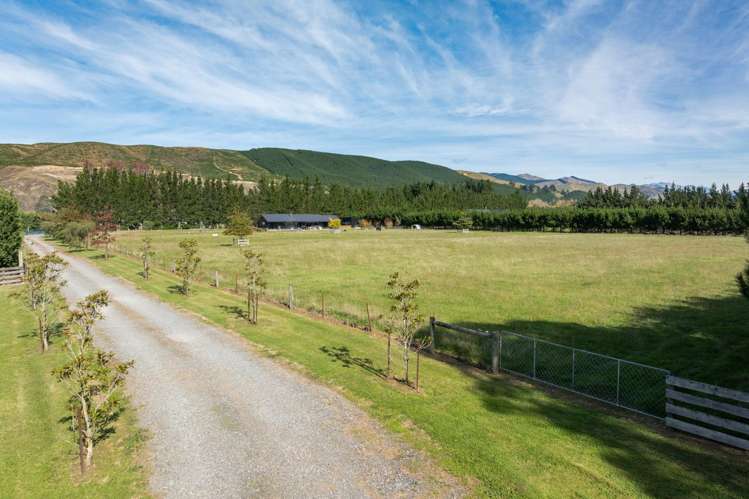 46 Cooper Street Wairau Valley_21